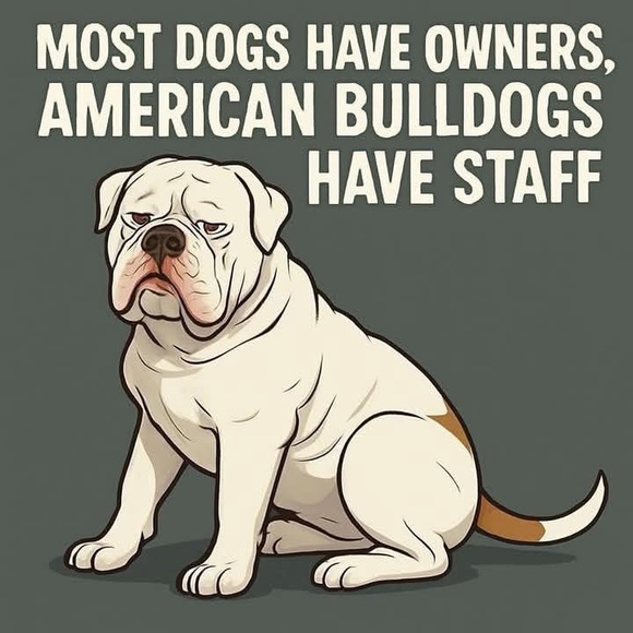 Ally is Live 🚫Do Not Buy This Listing 🚫 Follow this flyer for notification. 💕🍀🐾 - Picture 13 of 13